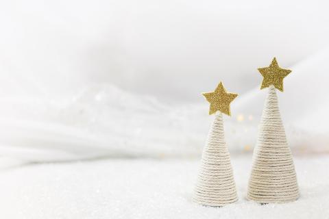 Sapins de Noël